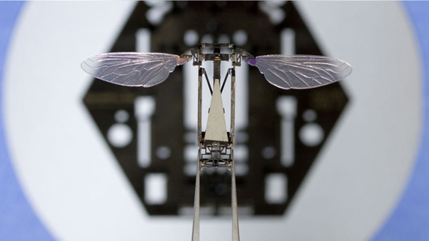 pop up bee-robot.jpg